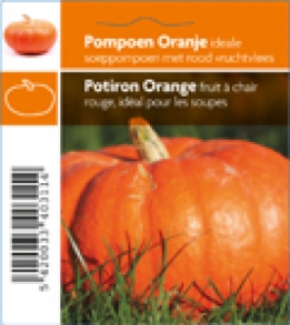 images/productimages/small/311_Pompoen Oranje-1 kopie.jpg